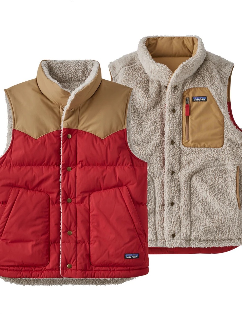 Patagonia Men's Reversible Bivy Down Vest